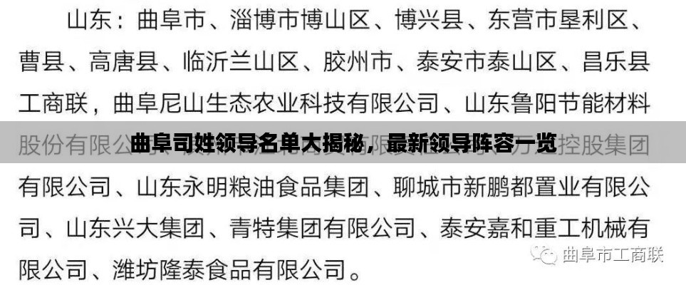 曲阜司姓领导名单大揭秘，最新领导阵容一览