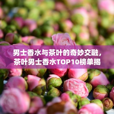 男士香水与茶叶的奇妙交融，茶叶男士香水TOP10榜单揭晓！