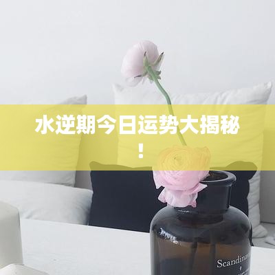 水逆期今日运势大揭秘！