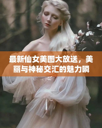 最新仙女美图大放送，美丽与神秘交汇的魅力瞬间