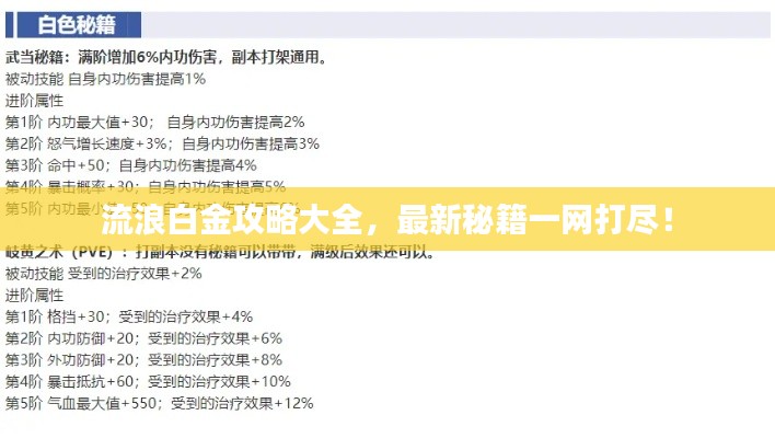 流浪白金攻略大全，最新秘籍一网打尽！