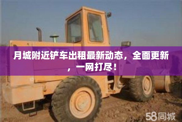 月城附近铲车出租最新动态，全面更新，一网打尽！