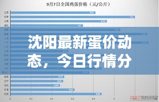沈阳最新蛋价动态，今日行情分析与预测