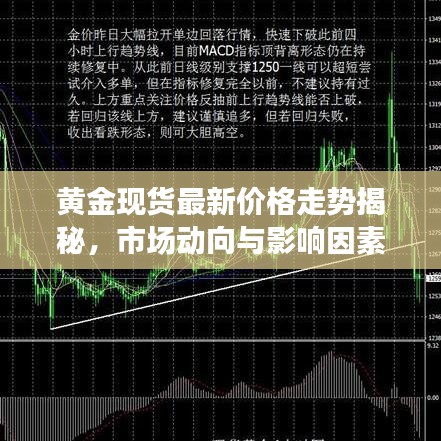 黄金现货最新价格走势揭秘，市场动向与影响因素深度剖析