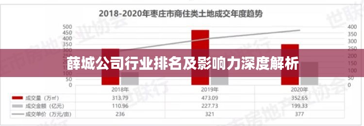薛城公司行业排名及影响力深度解析