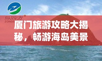 全神贯注
