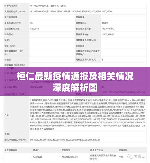 桓仁最新疫情通报及相关情况深度解析图