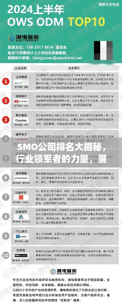 SMO公司排名大揭秘，行业领军者的力量，展现荣耀榜单