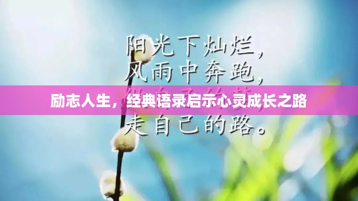 2025年5月3日 第3页
