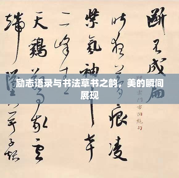 联系我们 第5页
