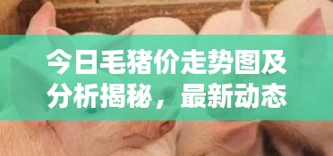 津津有味