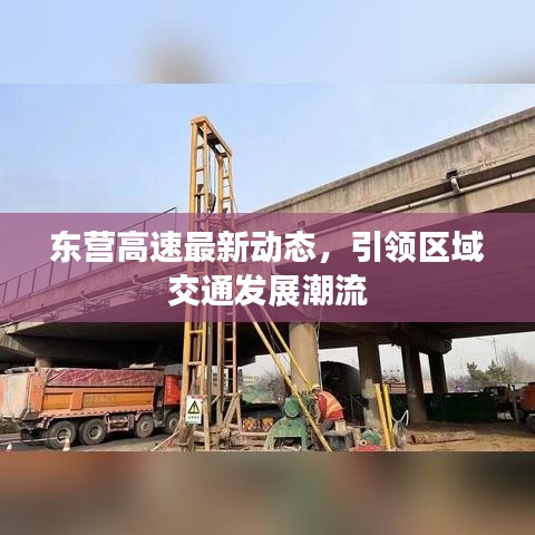 穷鸟入怀