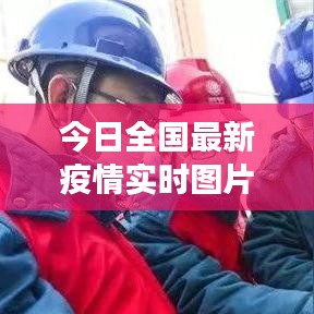 鸟集鳞萃