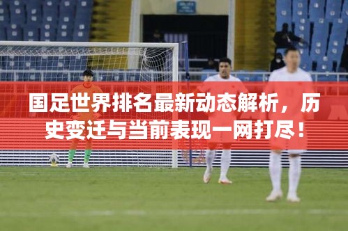 飞禽走兽