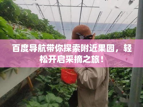 鸟惊鱼骇