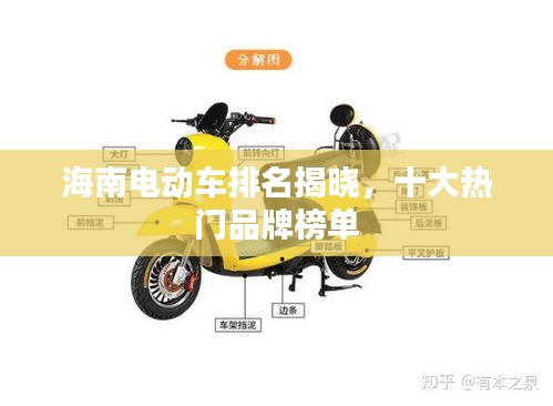 鸟之将死