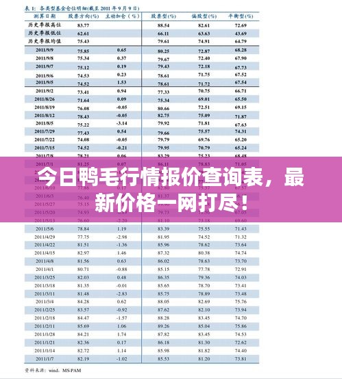 开张圣听