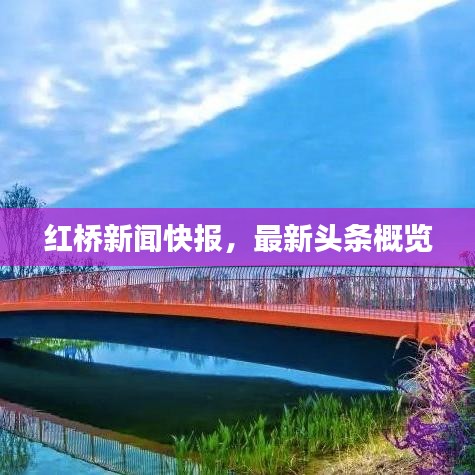 红桥新闻快报，最新头条概览