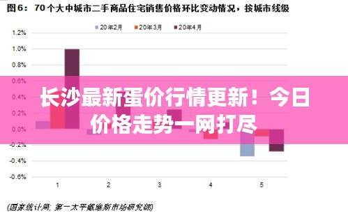 长沙最新蛋价行情更新！今日价格走势一网打尽