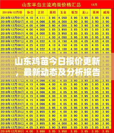 山东鸡苗今日报价更新，最新动态及分析报告
