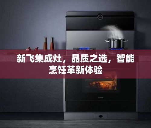 新飞集成灶，品质之选，智能烹饪革新体验