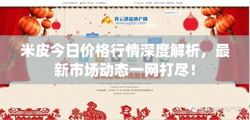 米皮今日价格行情深度解析，最新市场动态一网打尽！