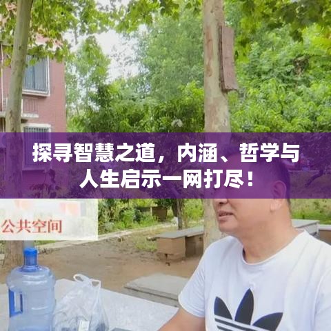 探寻智慧之道，内涵、哲学与人生启示一网打尽！