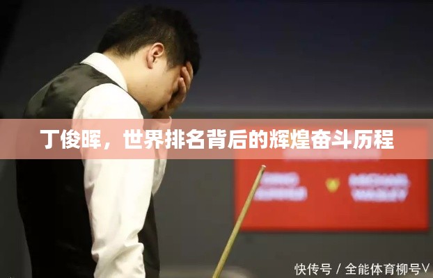 丁俊晖，世界排名背后的辉煌奋斗历程