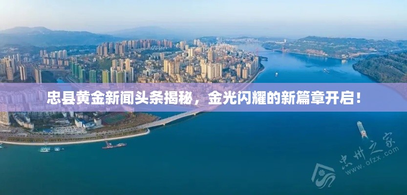 忠县黄金新闻头条揭秘，金光闪耀的新篇章开启！