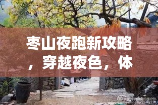 枣山夜跑新攻略，穿越夜色，体验枣山的奔跑之旅