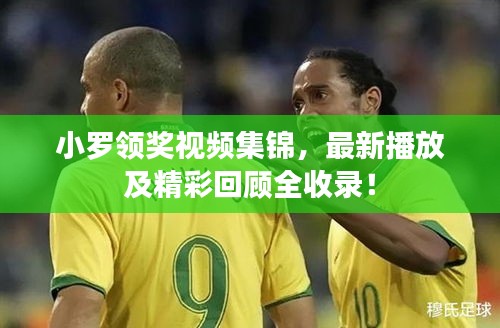 小罗领奖视频集锦，最新播放及精彩回顾全收录！