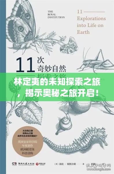 林定夷的未知探索之旅，揭示奥秘之旅开启！