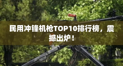 民用冲锋机枪TOP10排行榜，震撼出炉！