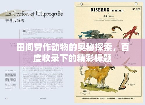 田间劳作动物的奥秘探索，百度收录下的精彩标题