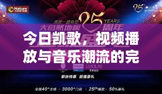 今日凯歌，视频播放与音乐潮流的完美融合！