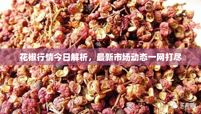 花椒行情今日解析，最新市场动态一网打尽