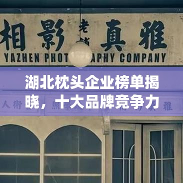 湖北枕头企业榜单揭晓，十大品牌竞争力排名！