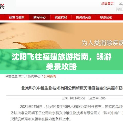 沈阳飞往福建旅游指南，畅游美景攻略