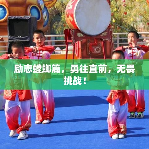 励志螳螂篇，勇往直前，无畏挑战！