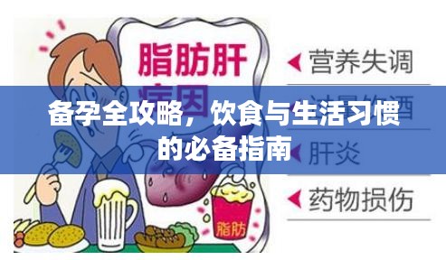 备孕全攻略，饮食与生活习惯的必备指南