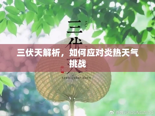 三伏天解析，如何应对炎热天气挑战