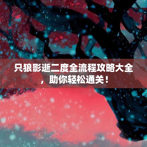 只狼影逝二度全流程攻略大全，助你轻松通关！