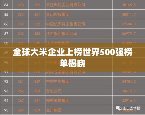 全球大米企业上榜世界500强榜单揭晓