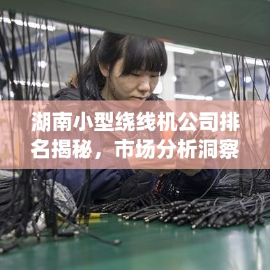 湖南小型绕线机公司排名揭秘，市场分析洞察行业趋势