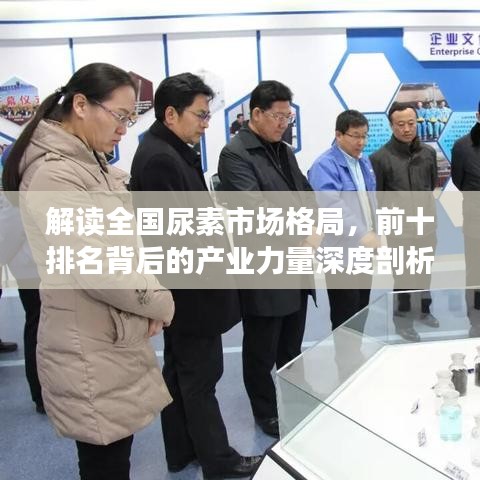 解读全国尿素市场格局，前十排名背后的产业力量深度剖析