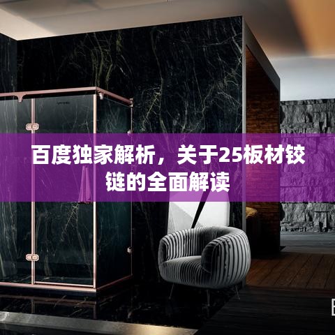 百度独家解析，关于25板材铰链的全面解读