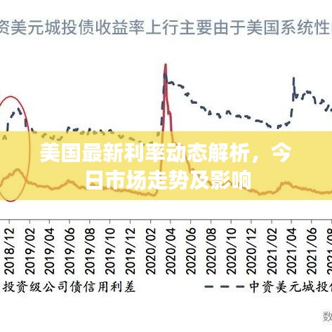 美国最新利率动态解析，今日市场走势及影响