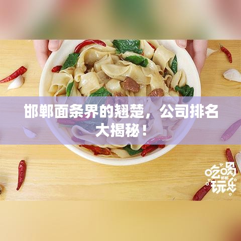 邯郸面条界的翘楚，公司排名大揭秘！
