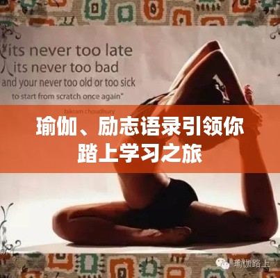 囫囵吞枣