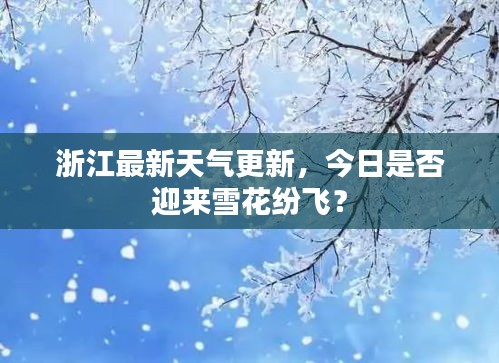 浙江最新天气更新，今日是否迎来雪花纷飞？